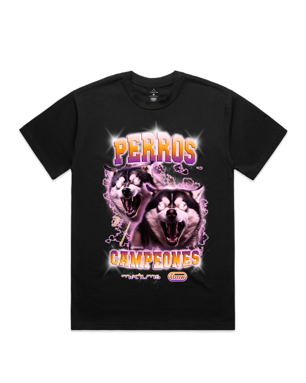 UW Huskies Campiones T-Shirt (Mediums X TBNW) - Black – M E D I U M S