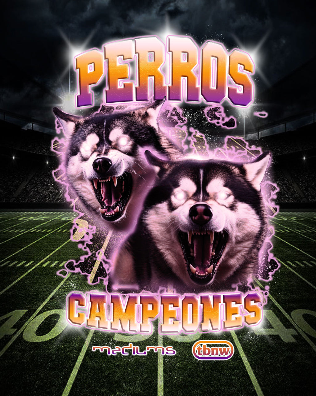 UW Huskies Campiones T-Shirt (Mediums X TBNW) - Black – M E D I U M S