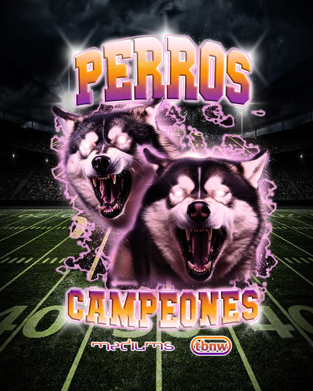 UW Huskies Campiones T-Shirt (Mediums X TBNW) - Black